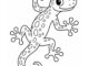 gecko printable