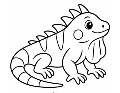iguana