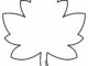 maple leaf template