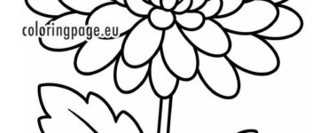 chrysanthemum coloring page