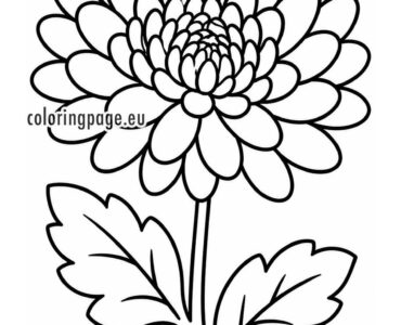 chrysanthemum coloring page