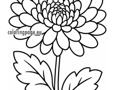 chrysanthemum coloring page