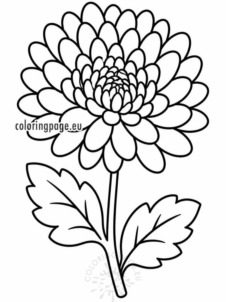 chrysanthemum coloring page