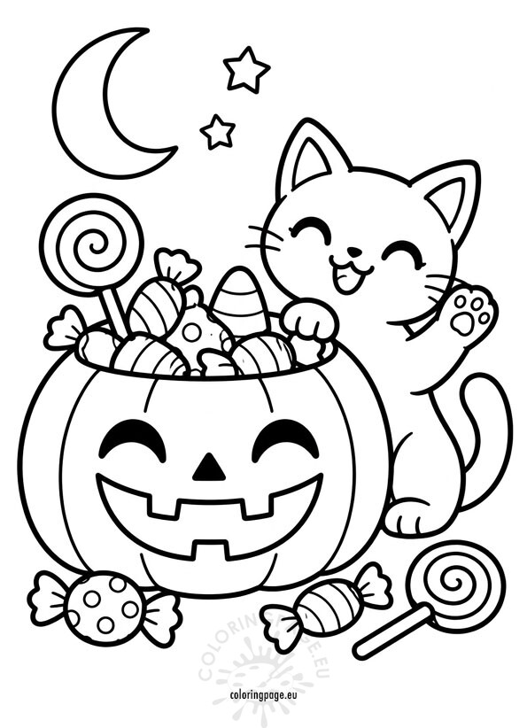 halloween cat with pumpkin and candy