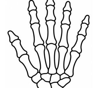 skeleton hand template