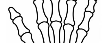 skeleton hand template