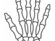 skeleton hand template