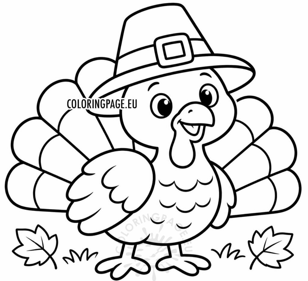 Turkey Wearing a Pilgrim Hat 1 turkey wearing a pilgrim hat