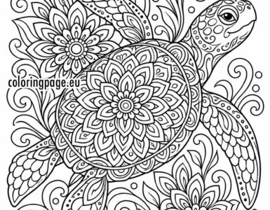 turtle mandala coloring page