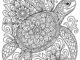 turtle mandala coloring page